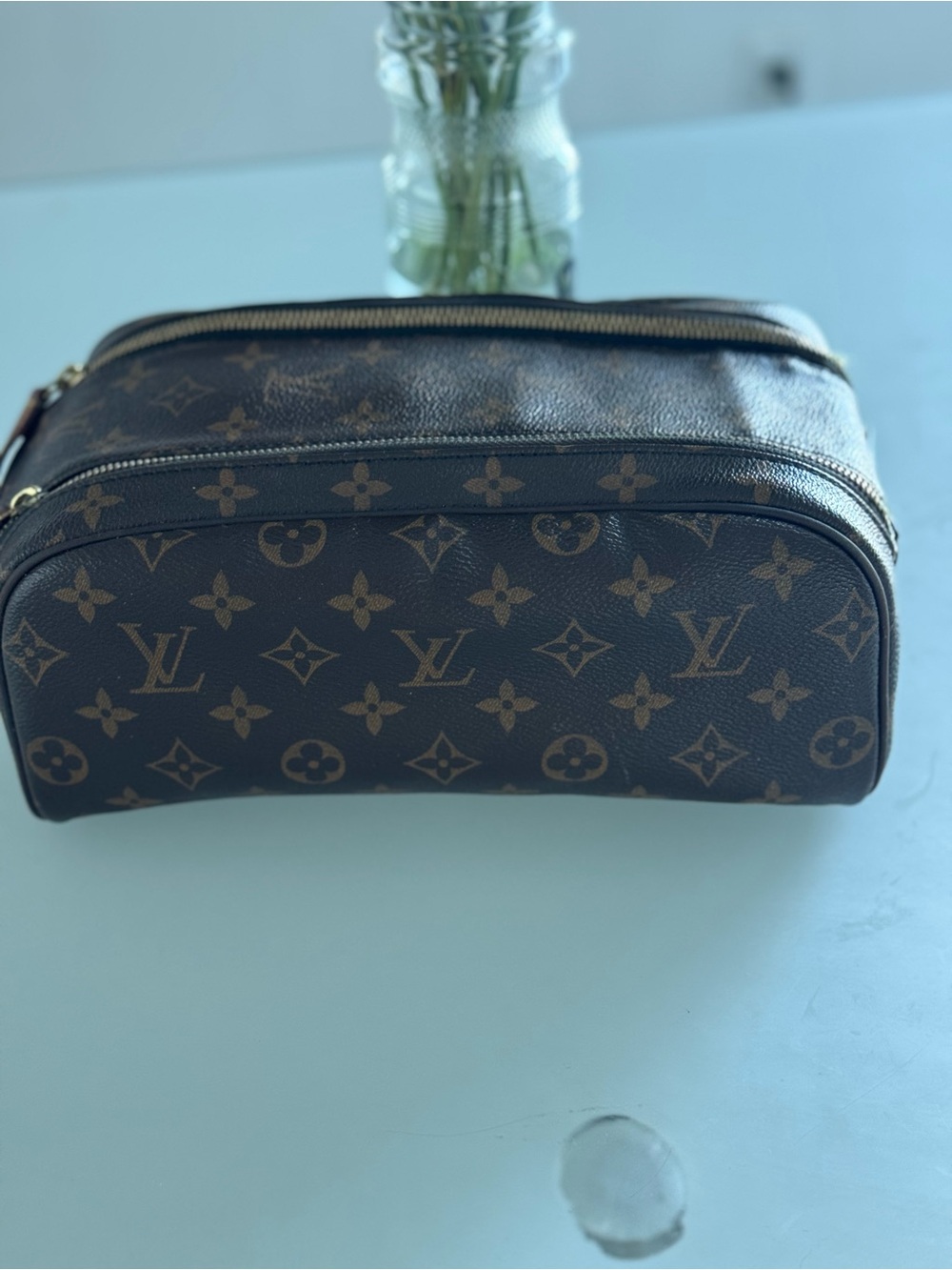 Louis Vuitton Monogram Canvas Cosmetic Pouch in Brown and Tan - Picture 3 of 8